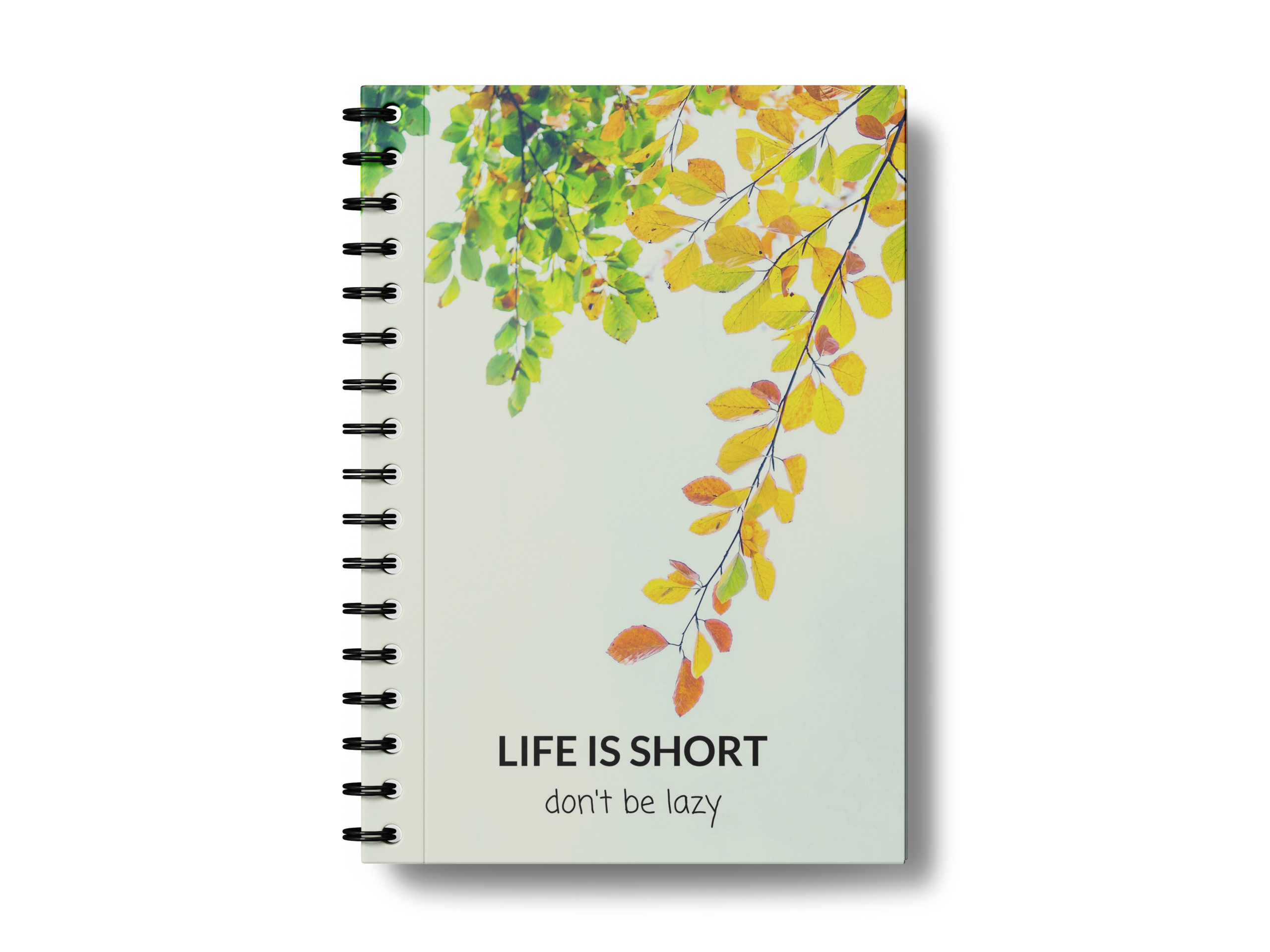 life is short